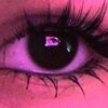 briseis404